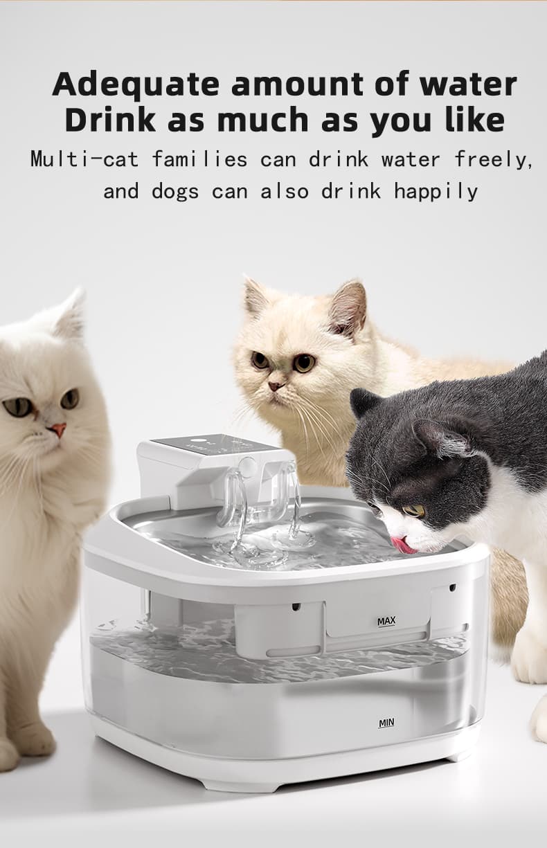 multi-cat-drinking-fountain-wireless-battery-operated.jpg.jpg