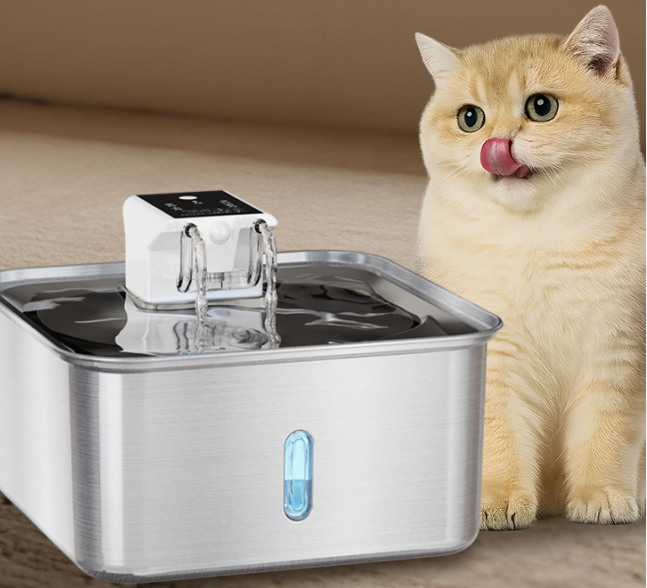 Pet Water Fountain vs Bowl: Is It Really Worth It?