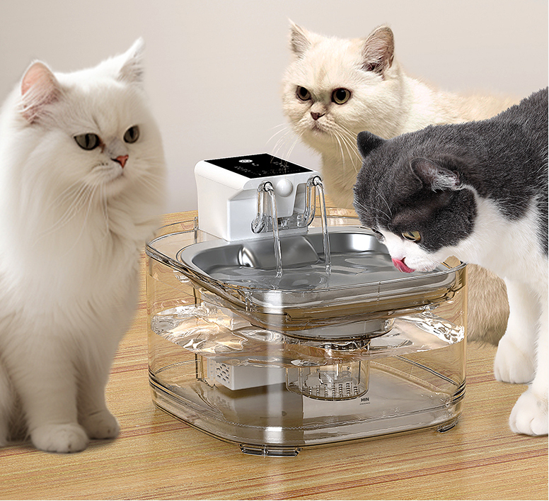 Is Your Cat’s Water Fountain Actually a Bacteria Hotel? (Stainless Steel vs. Plastic)