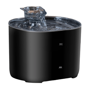 remove-photos-background-removed